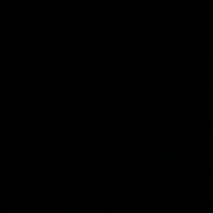 Meet your Posher, Bobby